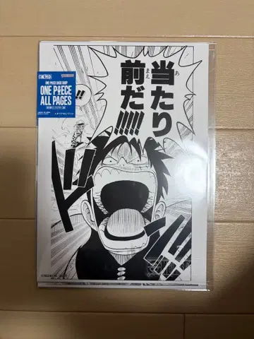 베이스샵 ONE PIECE ALL PAGES 루피 당연하지!!
