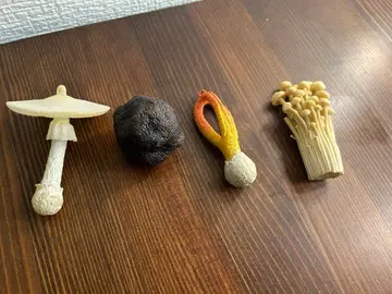 네이처 테크니컬러 버섯