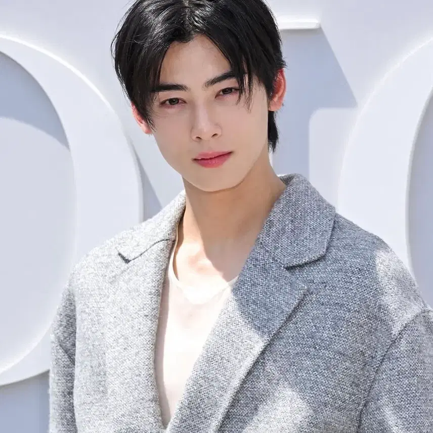 디올 23fw 그레이 버진 울 알파카 트위드자켓 사진 2