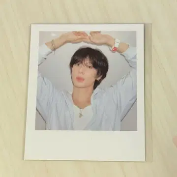 riize 앤톤 그리 폴라로이드