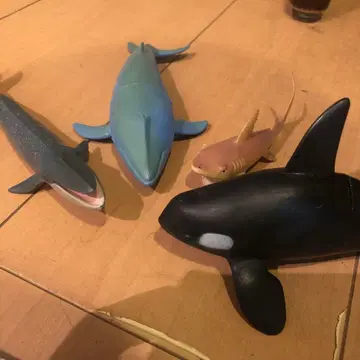 상어 고래 피규어 4체 세트
