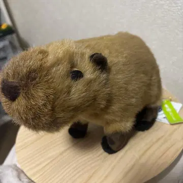 요시토쿠 카피바라 봉제 인형 리얼 육상 동물들 동물 수족관 레저랜드