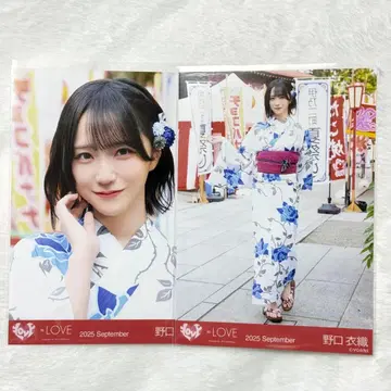 이코러브 =LOVE 노구치 이오리 생사진 세미컴프 비밀 이야기 요리히키