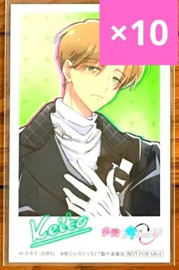 [ 10장 세트/타치바나 케이토 ] 타몬군 이마 돗치 미니 사진 특전