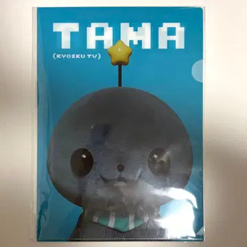 더 현실적인 팝업 교육 방송 클리어 파일 A4 타마 vol.1 A