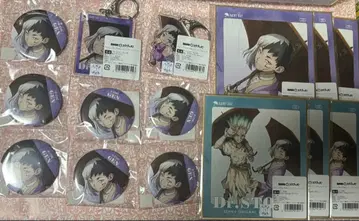 Dr.STONE 레이니 복권 겐 캔뱃지 아크릴 키링 색지