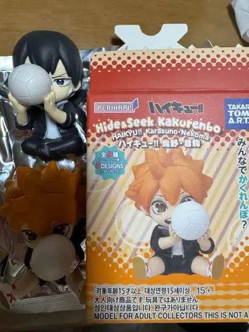 하이큐!! 숨바꼭질 히나타 쇼요 카게야마 토비오 피규어