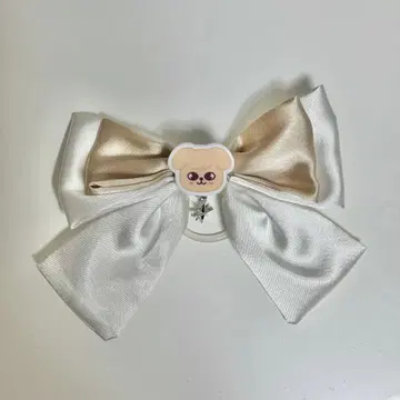 straykids 스키즈 승민 응원봉 리본 puppym