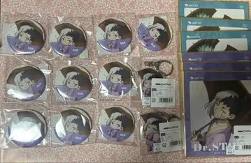 Dr.STONE 레이니 복권 겐 캔뱃지 아크릴 키링 색지 B