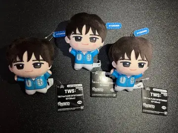 TWS 투어스 치비구루미 vol.2 경민/KYUNGMIN 3개
