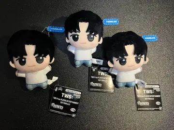 TWS 영재 PLEDIS SD 인형 5개