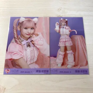 = LOVE 이코러브 사이토 지라 고양이 의상 브로마이드 세미컴프