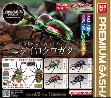 생물대도감 무지개 사슴벌레 3종 세트