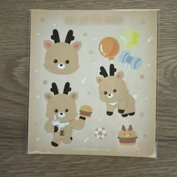 RIIZE 성찬 리무버블 스티커