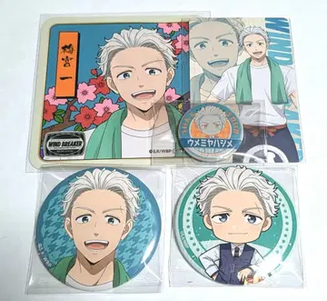 윈브레 우메미야 세이부엔 유원지 캔뱃지 코스터