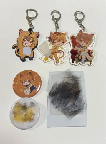 토라마루군 라오군 볼록 트윈즈 스니스트