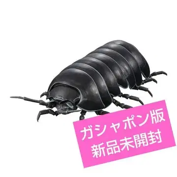 생물대도감 어드밴스 쥐며느리 가샤폰판 쥐며느리(블랙)