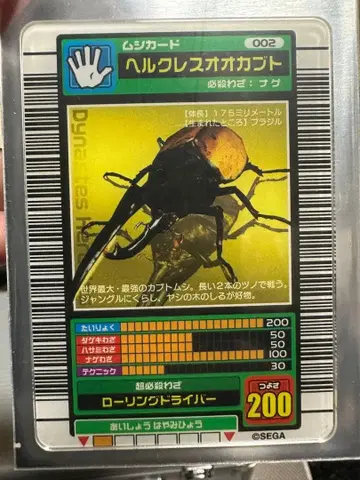 무시킹 헤라클레스 장수풍뎅이 아크릴 카드