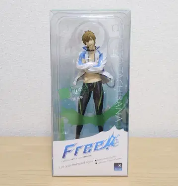Free! 타치바나 마코토 알터 피규어 1/18까지 판매