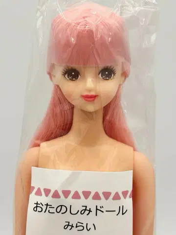 미라이 리카짱 캐슬 오타노시미 인형 핑크 계열 제니 프렌드