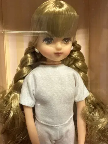 리카짱 캐슬 고베 산노미야 BASIC 모델 팔레트 FV-662 x 538