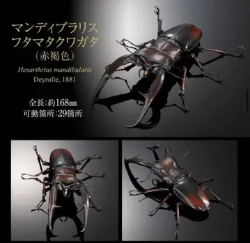 생물대도감 어드밴스