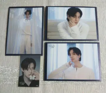 준호 Midnight Sun 랜덤 트레이딩 카드 스티커 세트