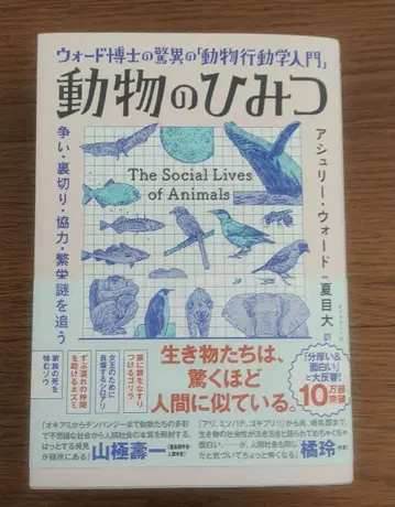 동물의 비밀 아니리 워드