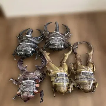 장수풍뎅이 사슴벌레형 완구 풍선 5개 세트