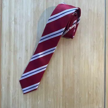 가면라이더 드라이브 넥타이 타케우치 료마 토마리 신노스케