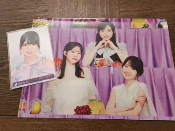 츠츠이 아야메 브로마이드 클리어 파일