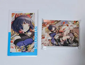 시라이시 안 프로세카 노블 아트 노블 56 에피카 13C