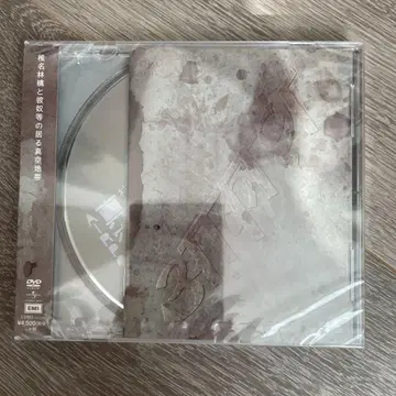 시이나 링고와 그 녀석들이 있는 진공지대