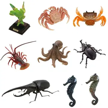 9종 세트 일본의 생물 네이처 테크니컬러 생물대도감 키탄클럽