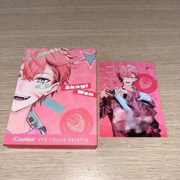 아카기 웬 icouleur 아이섀도 팔레트 Oriens 니지산지