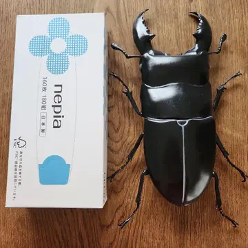 사슴벌레 피규어