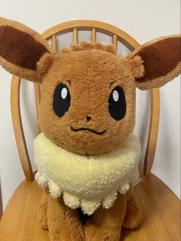 피카피카 BOX 2026 이브이 & 꾸왁스 세트