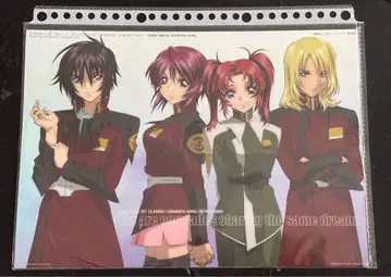 기동전사 건담 SEED DESTINY 사진 컬렉션 애니메이션 셀화