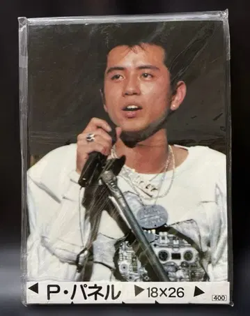 후지이 이쿠야 체커즈 시대 CP 패널 18x26 cm 쇼와 레트로