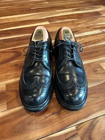 Alden 알든 9751 코도반 블랙 7D [ 새상품급 ]