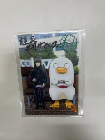 은혼 점보 카드다스 가츠라 코타로 엘리자베스 클리어 컬렉션 BIG