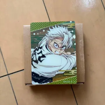 시나즈가와 사네미 귀멸의 칼날 노블 아트 컬렉션 B