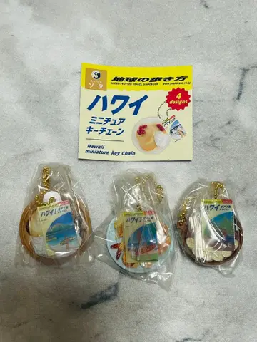 지구의 여행법 하와이 미니어처 키체인 3개 세트