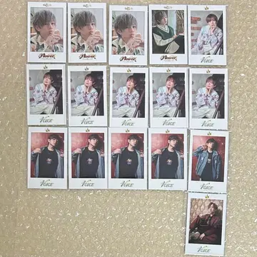 우라시마사카타센 우라타누키 Flower Voice 폴라로이드풍 카드 세트