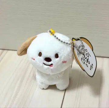 RIIZE 앤톤 발렌타인 MD 키링 10cm