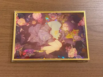 아사히나 마후유 벌스데이 기프트 아크릴 색지 D