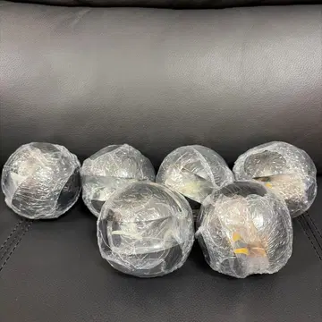 생물대도감 말벌 2종 세트 6개