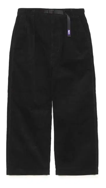 Thenorthface purplelabel corduroy pants