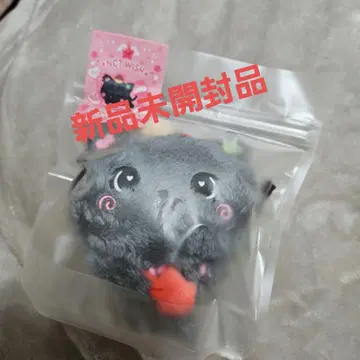 NCTWISH 위시돌 리쿠