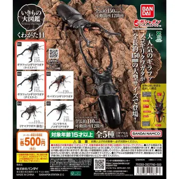 생물대도감 장수풍뎅이 11 라파 2종류 세트